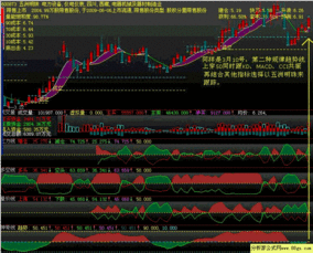 600873五洲明珠，帮我介绍分析下这个股票。