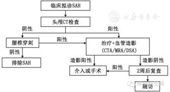 中国蛛网膜下腔出血诊治指南2015