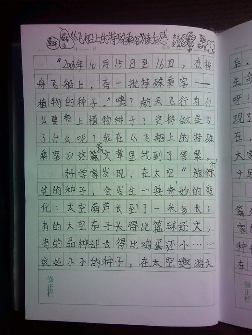 春节日记100字左右三年级,我的春节作文300字分享