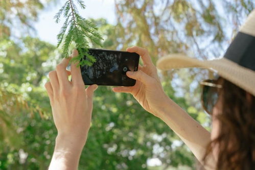 苹果手机掌握4个拍照技巧,分分钟刷爆朋友圈