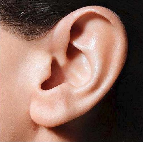 最新研究 耳朵的秘密,真让人吃惊 速看