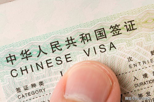 美国探亲签证和旅游签证的区别（美国旅游签证和探亲签证有什么区别吗） 