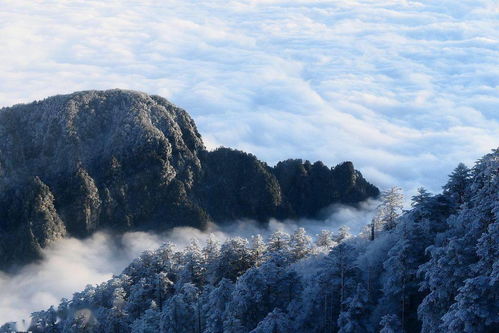 四川乐山乐山云海