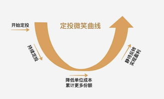 基金定投，款已被扣，但是为什么没有显示认购成功