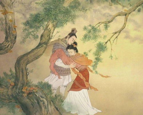 诗经 解密中国古代婚姻制度