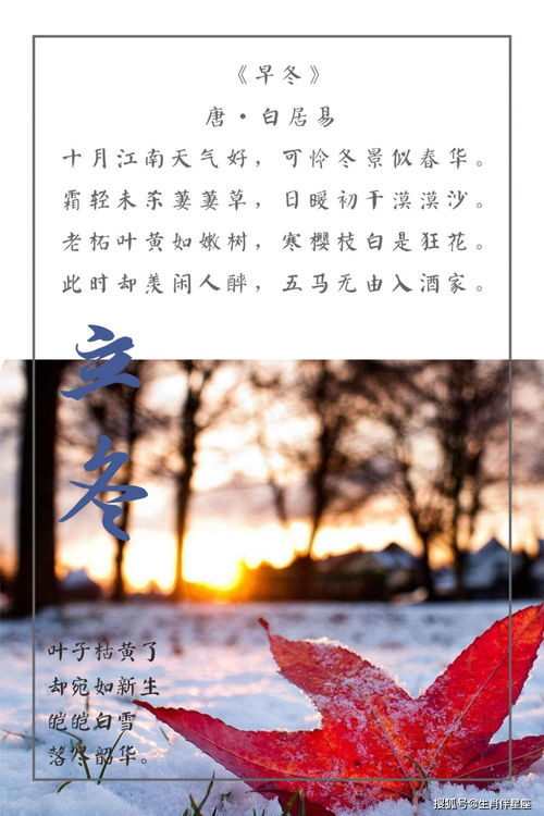 立冬谚语古诗(关于立冬的诗词谚语描写冬天经典诗句)