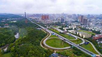 德阳职高有哪些专业学校