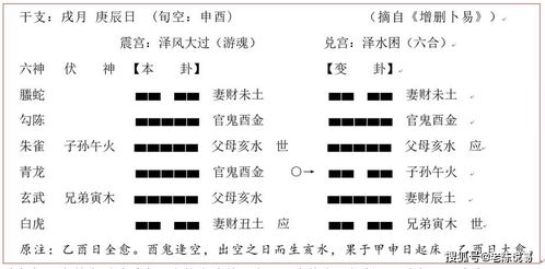 六冲理论 116