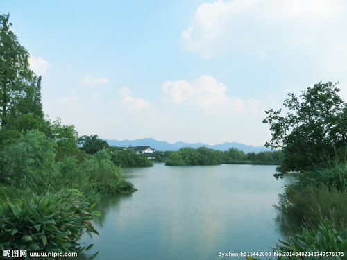 杭州湿地公园的风景图片 