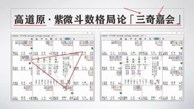 紫微斗数案例一