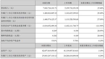 首个年度报告是指半年报还是一年报？