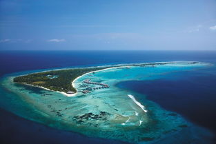 马尔代夫法里岛探索海洋天堂的绝佳去处（马尔代夫的海底世界）