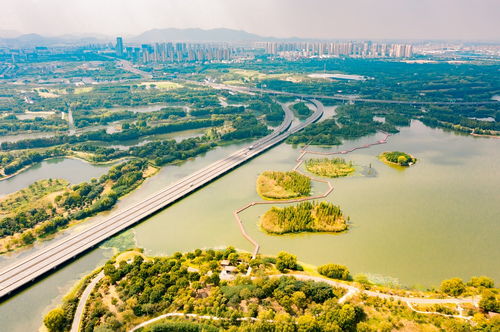 虎丘湿地公园停车场收费吗(苏州金阊有免费停车场吗)