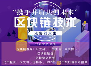 揭阳有哪家软件公司做得比较好的