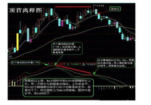 用MACD指标看顶底背离时，还应该参考哪些辅助指标?