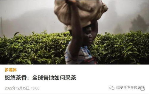 真正意义上的俄罗斯茶炊是什么时间出现的-图1