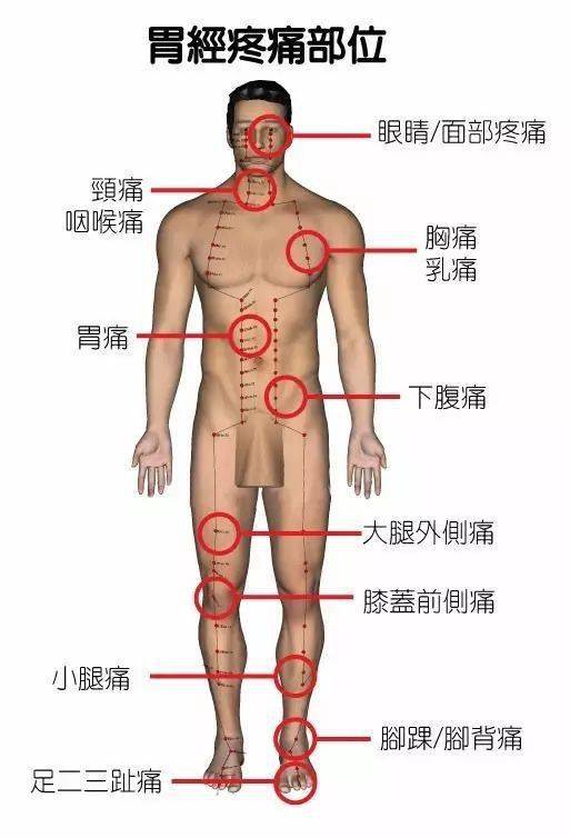 人身体部位图 搜狗图片搜索