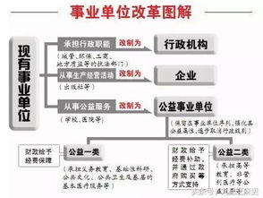 事业单位分类改革,乡镇事业单位将或将往这些方向发展