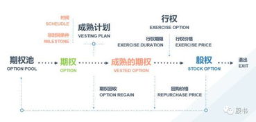 关于离职后 奖励期权的问题