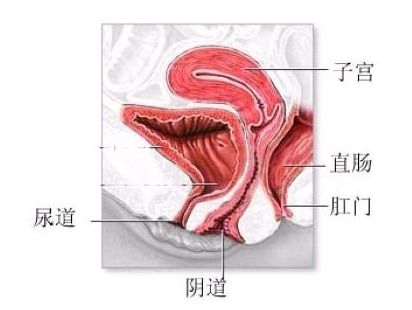 阴道炎缠身可能与这些原因有关 