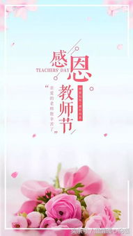 教师节祝福语大全，教师节贺词(教师节祝福语教师节快乐)