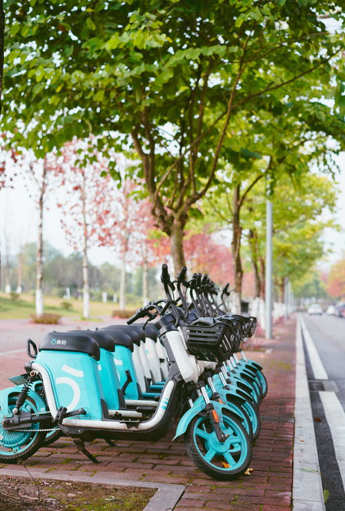 城博会 “人民出行”发布有序经营共享电单车采集与监管系统