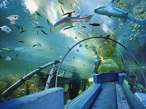 北京动物园 西直门 里的海洋馆表演时间是什么 求最新时间表 