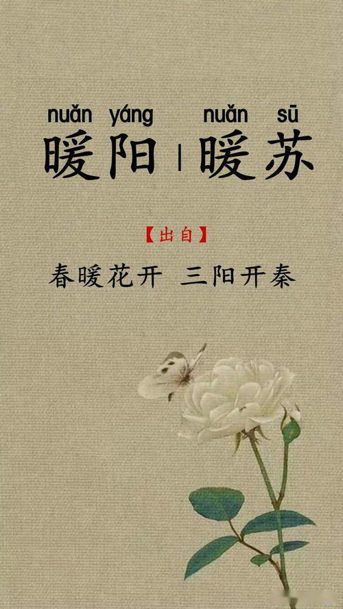 一眼难忘的兄妹名,双胞胎取名