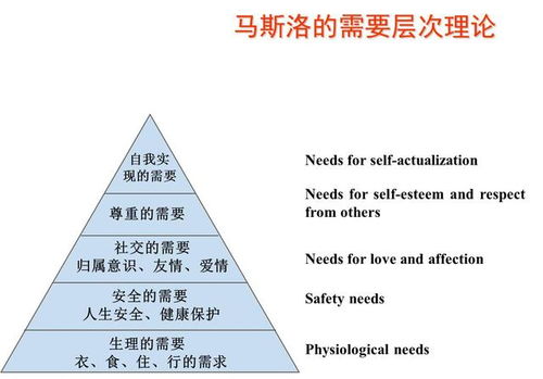 专转本难吗有没有必要了(专转本难度大不大)