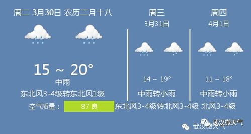 30天天气预报武汉市（武汉30天天气查询）
