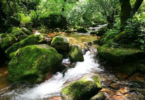 距离宝鸡最近的美景 尖山沟