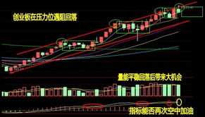 九月，股市谁赚到钱了