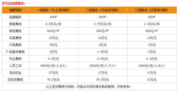 加盟汽车维修项目排行榜（汽车维修加盟店多少钱）