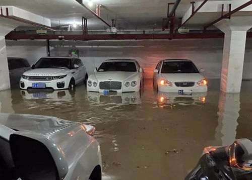 广东突发大暴雨全城被淹,一水果市场损失过亿