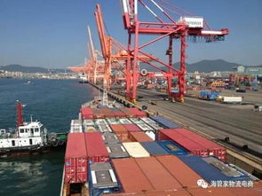 刚刚挂靠完上海 大连,MSC集装箱船釜山码头发生意外 