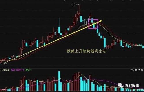 怎么分析股票的基本面，请问应该从哪里开始学？