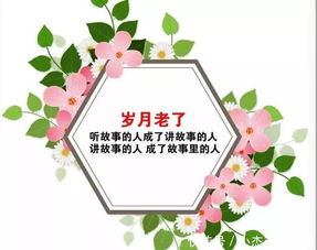 人生感悟经典句子摘抄