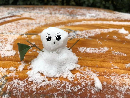 盘点 那些年,平凉人在雪天里干过的事...