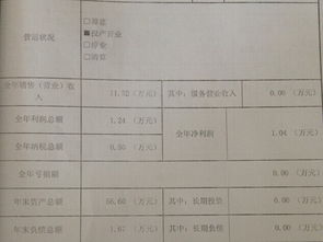 年检工商，年报表怎么报？急急急