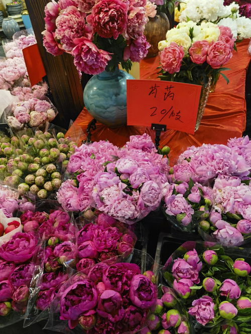 开花店一般各种花的价格是多少在花店主要卖哪些花 现在市场上玫瑰花价格是多少钱一株