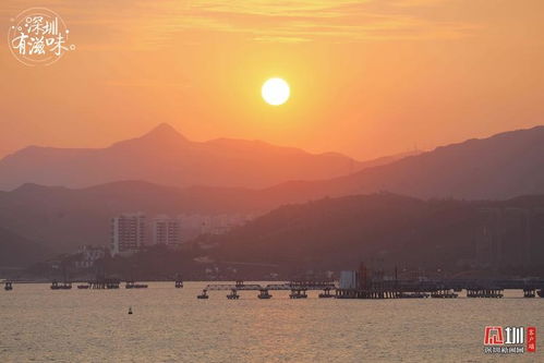 深圳有滋味 双语版 第18期 踏浪看展,找到浓缩整个夏天的乐趣 