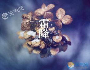 今年几月份霜降(今年啥时候霜降)