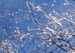 冬天雪景图 季节节日图片,, 