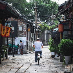 讲好山东故事 芙蓉街后的小巷