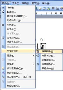 谁能提供一款可以给汉字加拼音的软件啊 