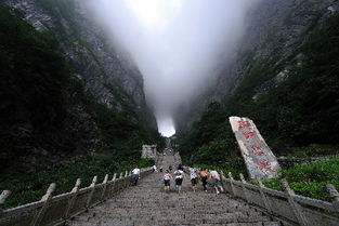 张家界核心景区 大峡谷 玻璃桥 天门山4日游 100 纯玩,品质游