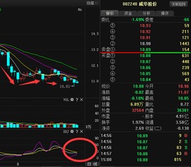 威华股份今天的消息是好是坏