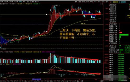 刚入股市没多久，一般遇到股友人家都会问我几成仓位，我想仓位怎么算，一成是什么意思？