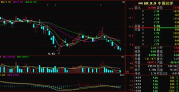 601919中国远洋这支股票怎么样?如果要操作需要注意什么&gt;?
