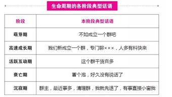 掌嗨为你解密社群高手圈里的四条 潜规则